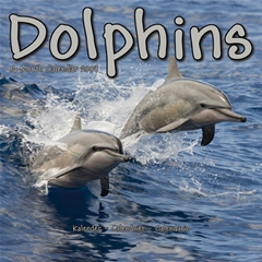 Dolphins Wall Calendar: 2009