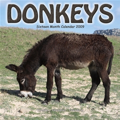 Magnet and Steel Donkeys Wall Calendar: 2009