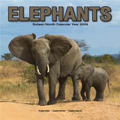 Elephants Wall Calendar: 2009