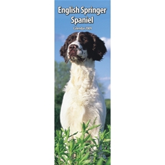 Magnet and Steel English Springer Spaniel Slim Calendar: 2009
