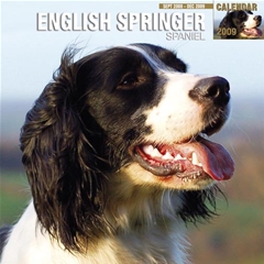 Magnet and Steel English Springer Spaniel Wall Calendar: 2009