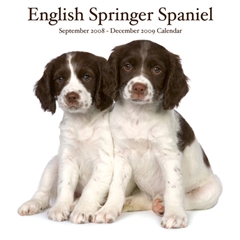 Magnet and Steel English Springer Spaniels Wall Calendar: 2009