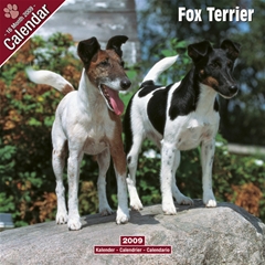 Fox Terrier Wall Calendar: 2009