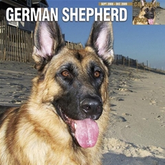 Magnet and Steel German Shepherd Wall Calendar: 2009