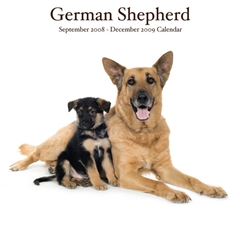 Magnet and Steel German Shepherds Wall Calendar: 2009