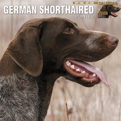 German Shorthaired Pointers Wall Calendar: 2009
