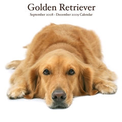 Golden Retrievers Wall Calendar: 2009