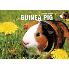 Magnet and Steel Guinea Pig A4 Calendar: 2009