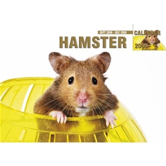Magnet and Steel Hamster A4 Calendar: 2009