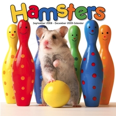 Magnet and Steel Hamsters Wall Calendar: 2009
