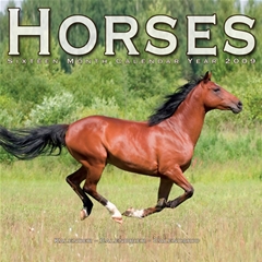 Horses Wall Calendar: 2009