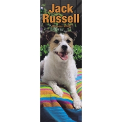 Magnet and Steel Jack Russell Terrier Slim Calendar: 2009