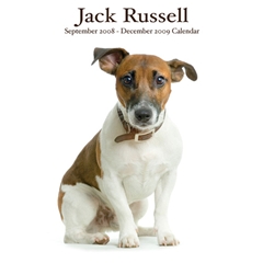 Magnet and Steel Jack Russell Terriers Wall Calendar: 2009
