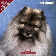Keeshond Wall Calendar: 2009