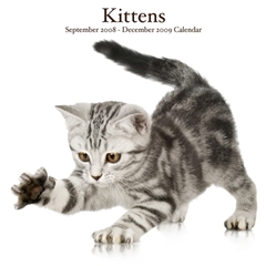 Kittens Wall Calendar: 2009