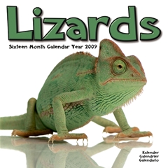 Lizards Wall Calendar: 2009