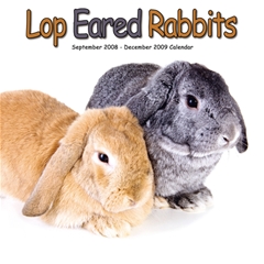 Magnet and Steel Lop-Eared Rabbits Wall Calendar: 2009