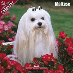 Maltese Wall Calendar: 2009