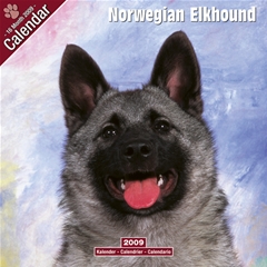 Magnet and Steel Norwegian Elkhound Wall Calendar: 2009
