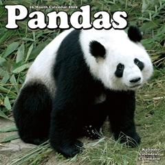 Pandas Wall Calendar: 2009