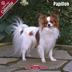Papillon Wall Calendar: 2009