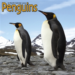 Magnet and Steel Penguins Wall Calendar: 2009