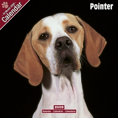 Magnet and Steel Pointer Wall Calendar: 2009