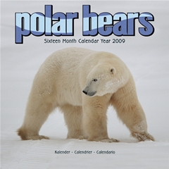 Magnet and Steel Polar Bear Wall Calendar: 2009