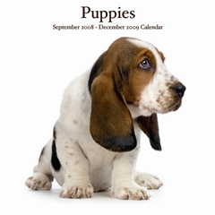 Puppies Wall Calendar: 2009