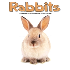 Rabbits Wall Calendar: 2009