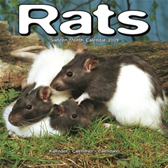 Rats Wall Calendar: 2009