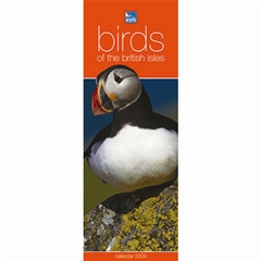 RSPB Birds Slim Calendar: 2009
