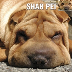 Shar-Pei Wall Calendar: 2009