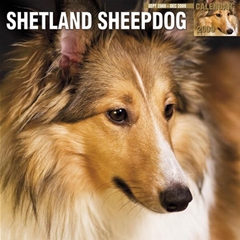 Shetland Sheepdogs Wall Calendar: 2009