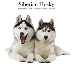 Siberian Huskies Wall Calendar: 2009