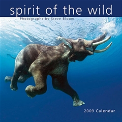 Magnet and Steel Spirit of the Wild Wall Calendar: 2009