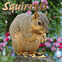 Magnet and Steel Squirrels Wall Calendar: 2009