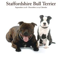 Magnet and Steel Staffordshire Bull Terriers Wall Calendar: 2009