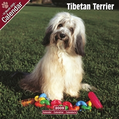 Magnet and Steel Tibetan Terrier Wall Calendar: 2009