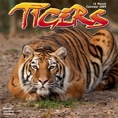 Tigers Wall Calendar: 2009