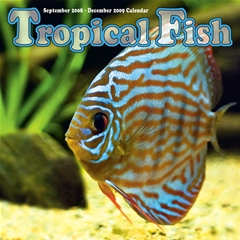 Magnet and Steel Tropical Fish Wall Calendar: 2009