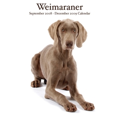 Weimaraners Wall Calendar: 2009