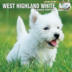 Westie Puppies Wall Calendar: 2009