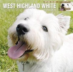 Westie Wall Calendar: 2009