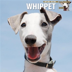 Magnet and Steel Whippets Wall Calendar: 2009