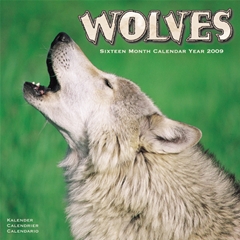 Magnet and Steel Wolves Wall Calendar: 2009