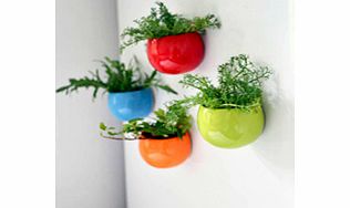 Magnetic Flower Pot
