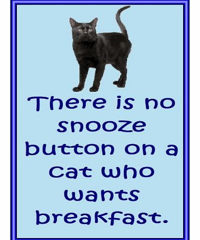 American Bombay cat - Novelty Cat Fridge Magnets - Snooze - gifts for cat owners