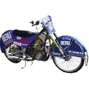 EIS Speedway SIWA 500 1 18