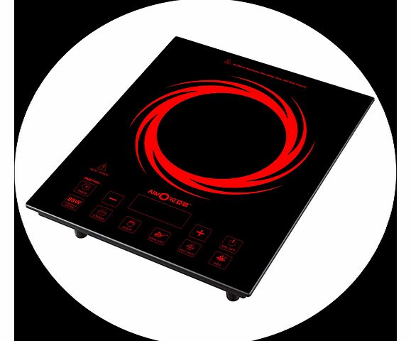 Maneesh Precautions while using Induction Cooker